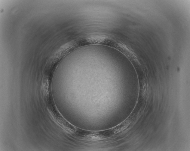 X0000084570498200703021453