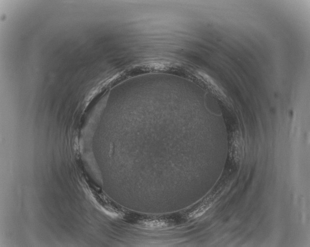 X0000084570500200703021453