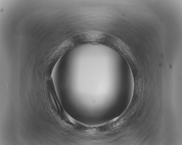 X0000084570505200703021453