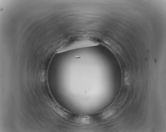 X0000084570514200703021453