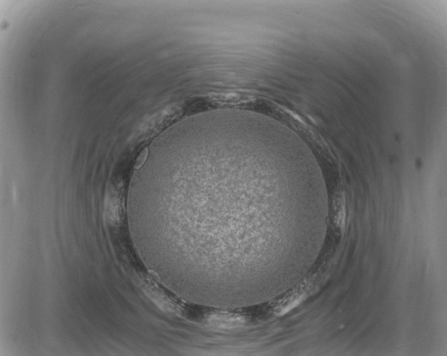 X0000084570515200703021453