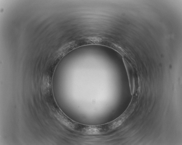 X0000084570518200703021452