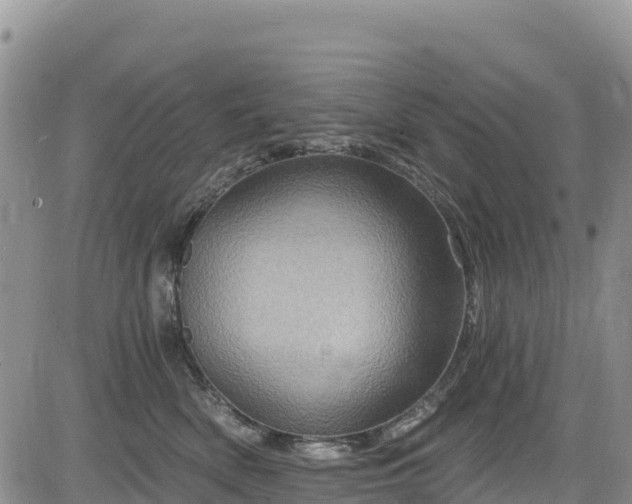 X0000084570522200703021452