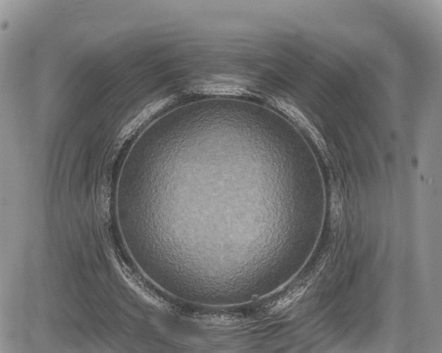 X0000084570533200703021452