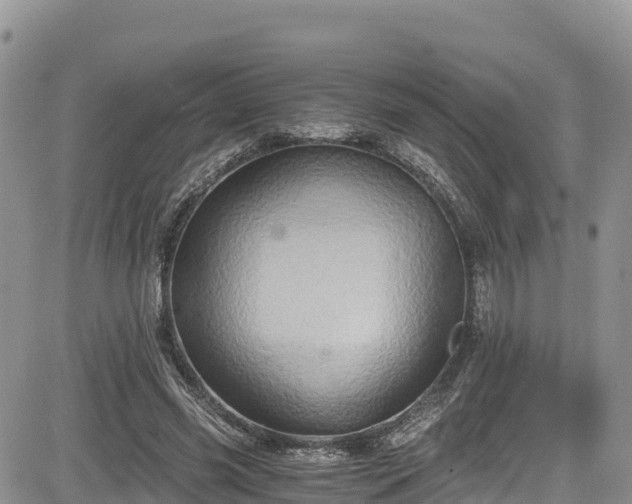 X0000084570541200703021452