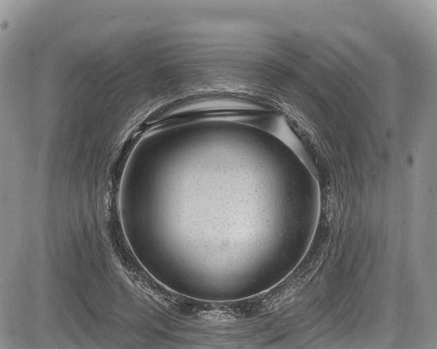 X0000084570544200703021452