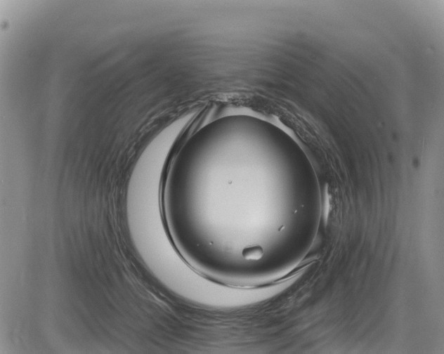 X0000084570558200703021452