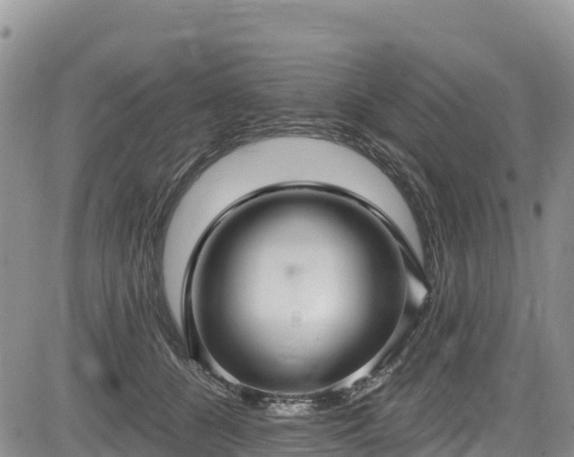 X0000084570560200703021452