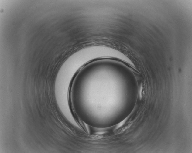 X0000084570562200703021452
