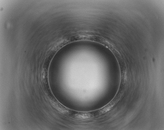 X0000084570567200703021452