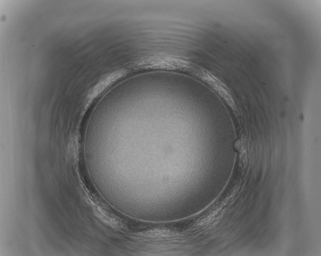 X0000084570578200703021451