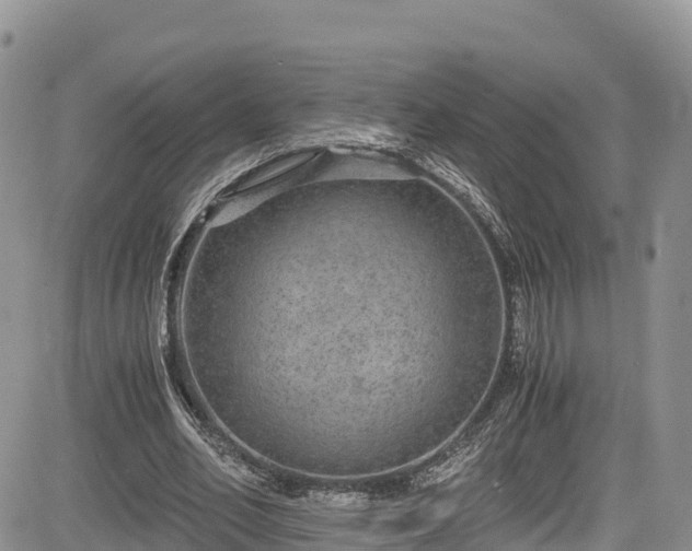X0000084570582200703021451