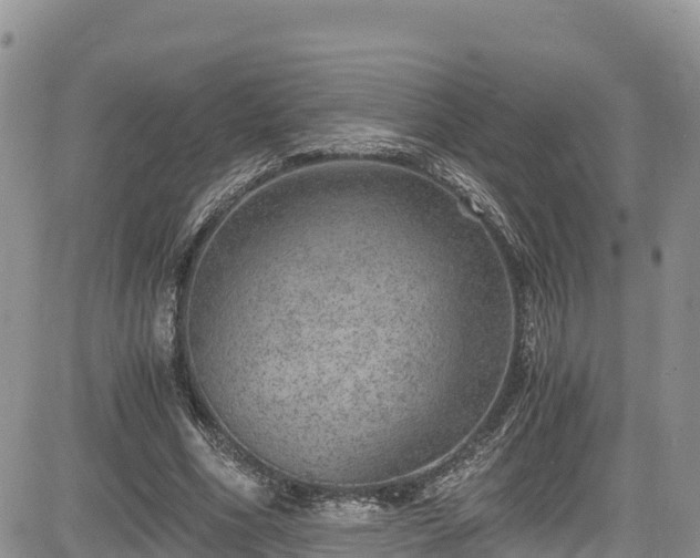 X0000084570586200703021451