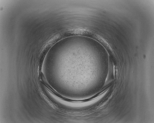 X0000084570589200703021451