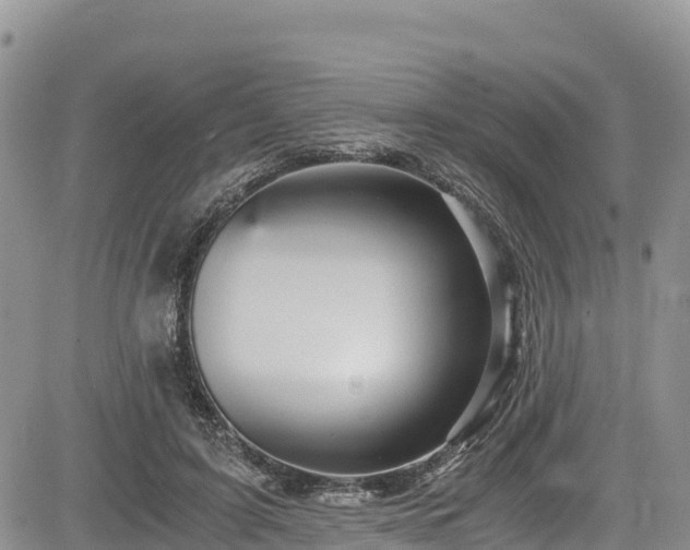 X0000084570595200703021451
