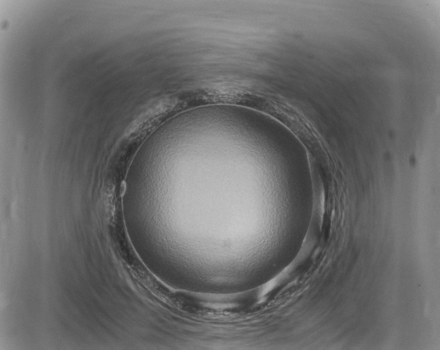 X0000084570599200703021451