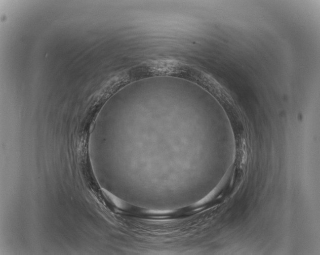 X0000084570601200703021451