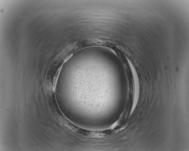 X0000084570617200703021451