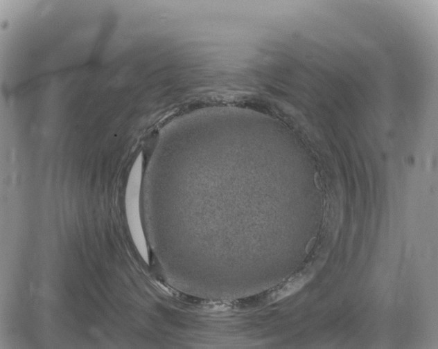 X0000084570624200703021451