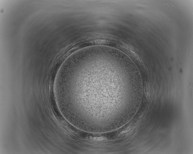 X0000084570645200703021450
