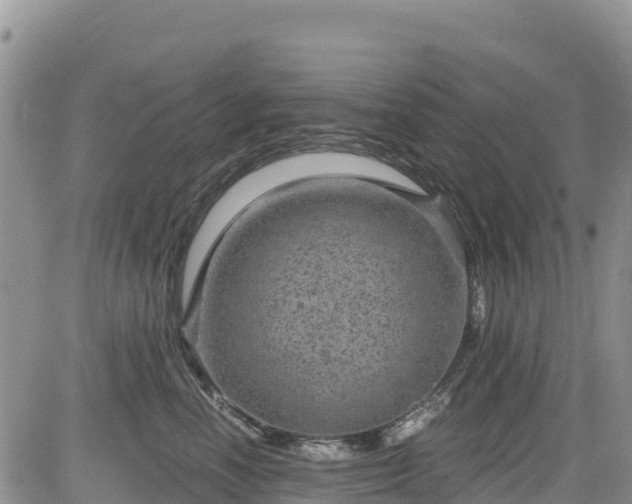 X0000084570666200703021451