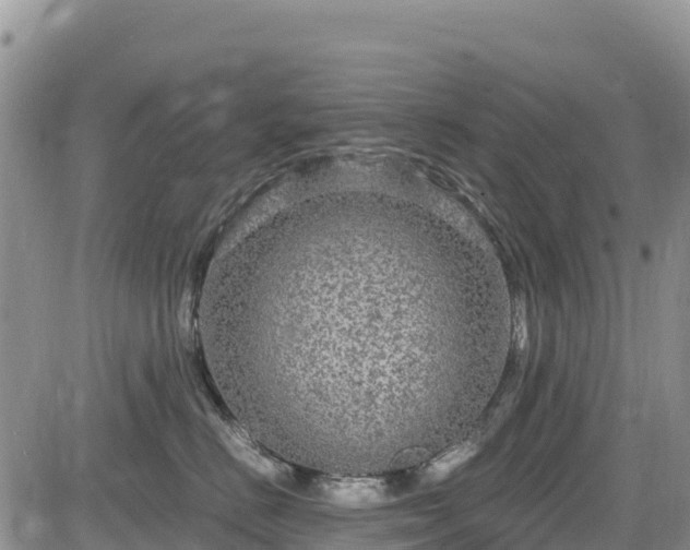 X0000084570670200703021451