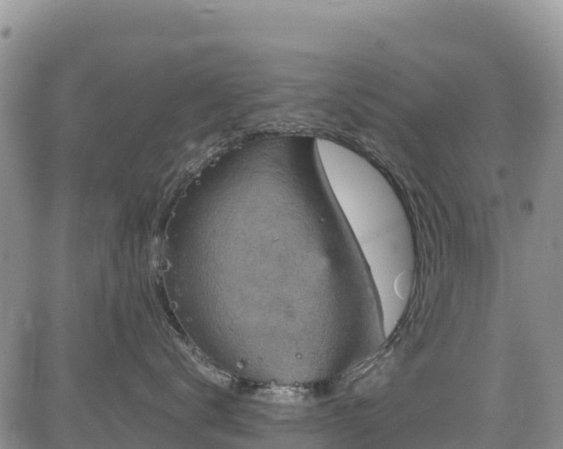 X0000084570672200703021451