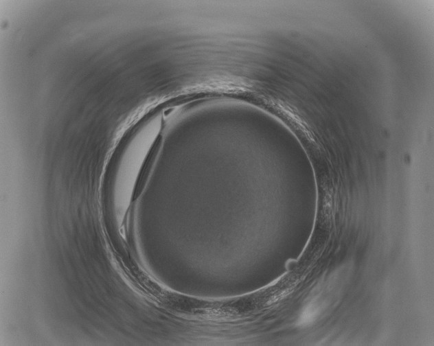 X0000084570678200703021450