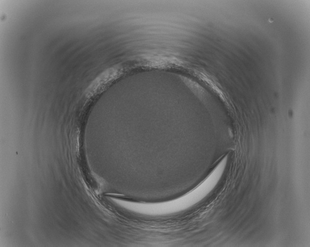 X0000084570685200703021450