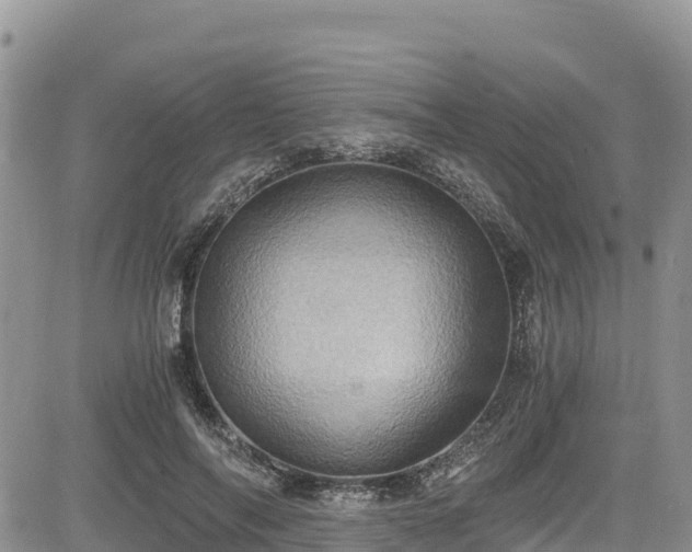 X0000084570694200703021450