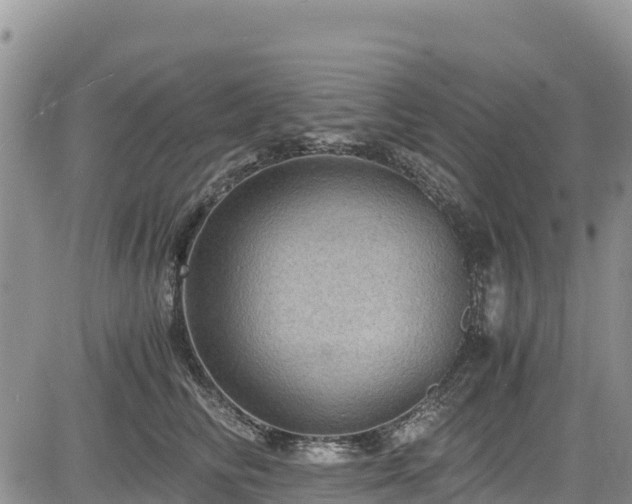 X0000084570710200703021449