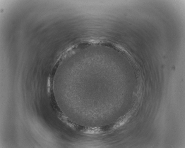 X0000084570720200703021449
