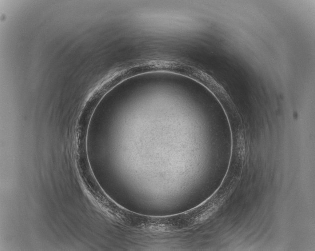 X0000084570730200703021448