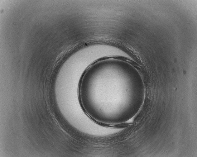 X0000084570740200703021449