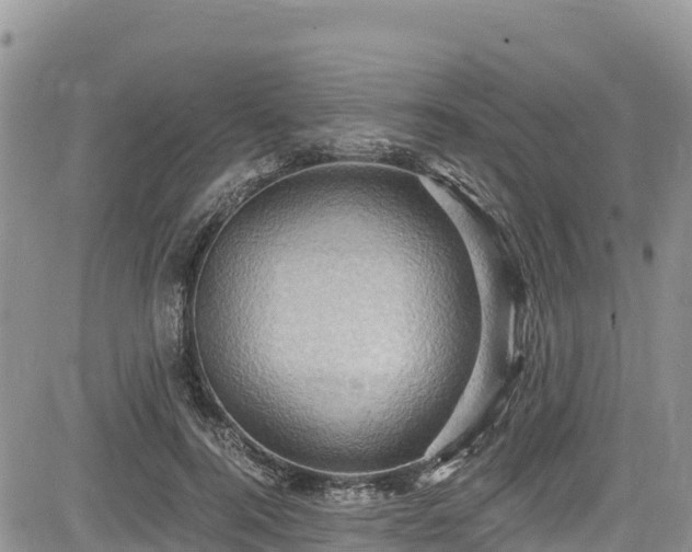 X0000084570744200703021449