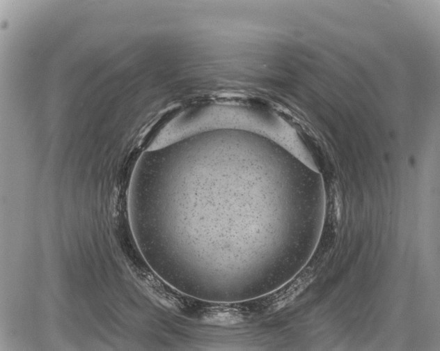 X0000084570750200703021449