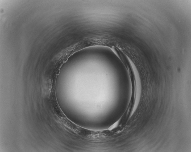 X0000084570752200703021449