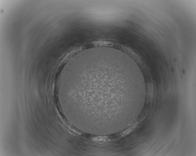 X0000084570761200703021449