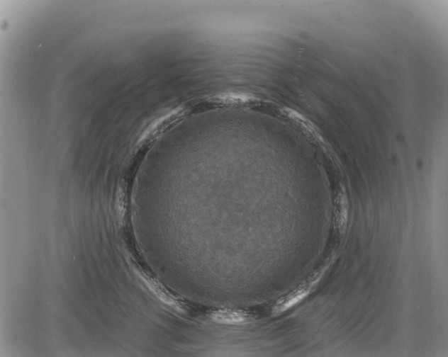X0000084570762200703021449