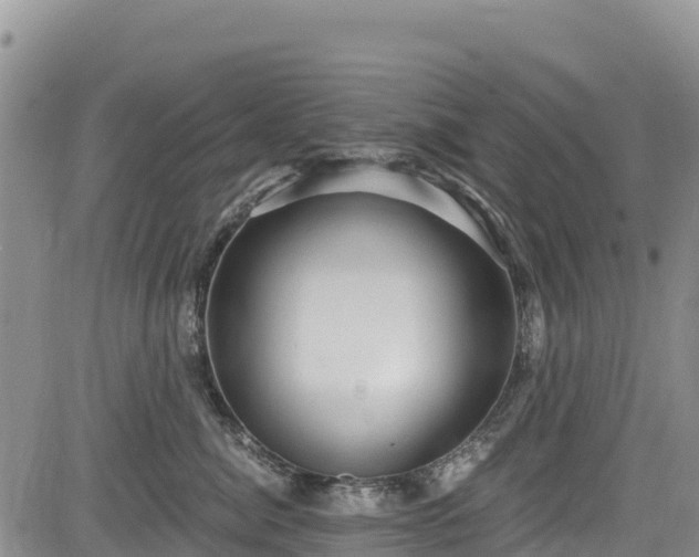 X0000084570764200703021449