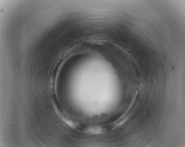 X0000084570767200703021449