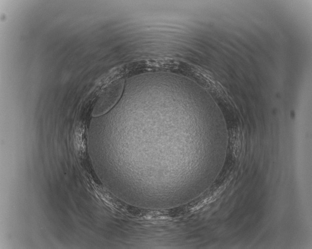 X0000084570770200703021448