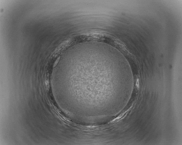 X0000084570771200703021448