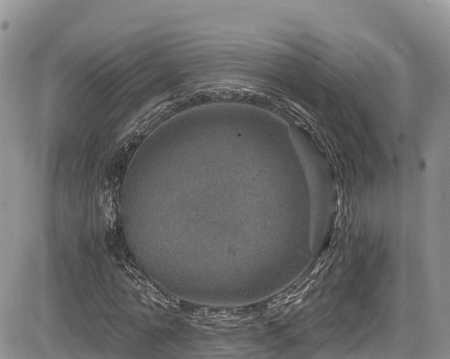 X0000084570774200703021448