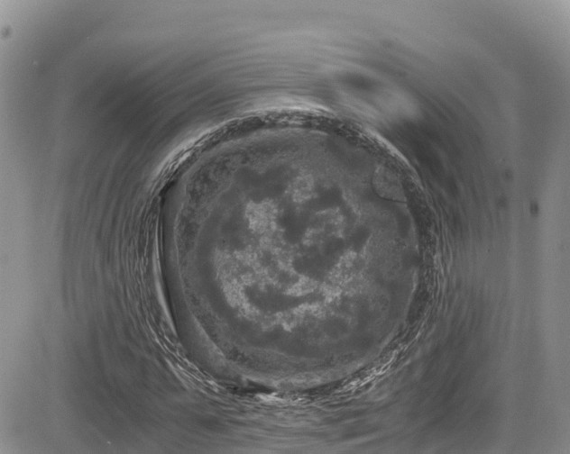 X0000084570775200703021448