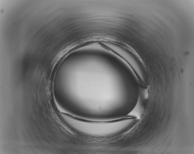 X0000084570786200703021448