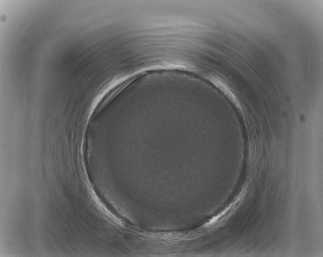 X0000084570797200703021448