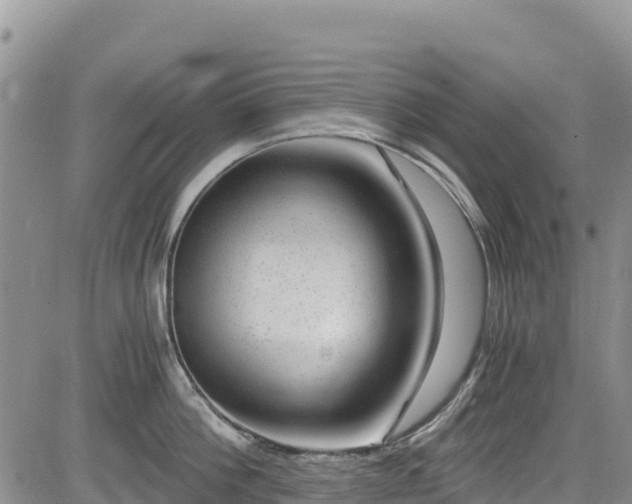 X0000084570812200703021448