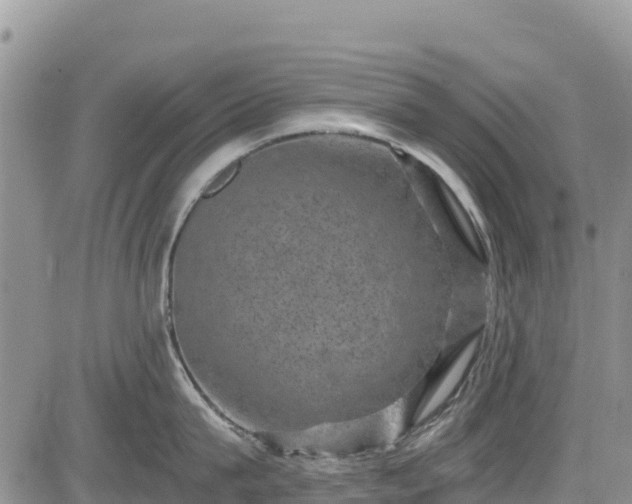 X0000084570815200703021447