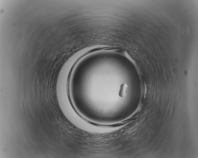 X0000084570818200703021447